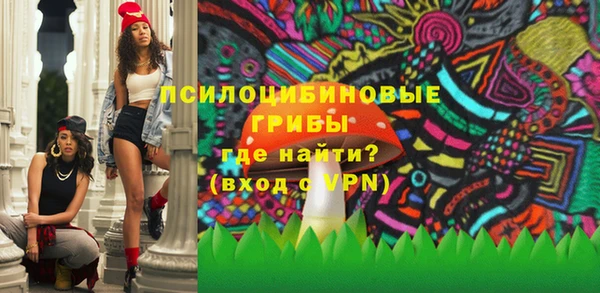 mdpv Болотное