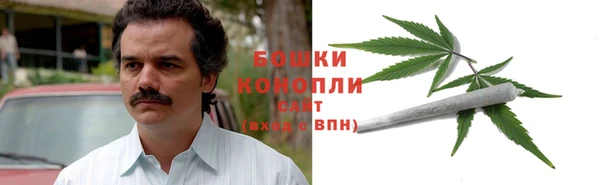 молекула духа Осинники