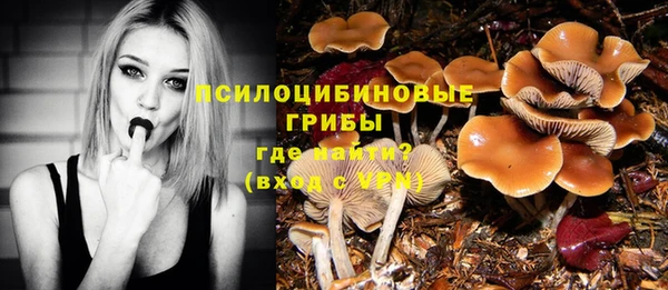 трава Осташков