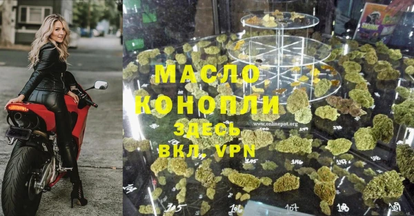 молекула духа Осинники