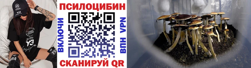 где купить наркотик  Торопец  Галлюциногенные грибы прущие грибы 